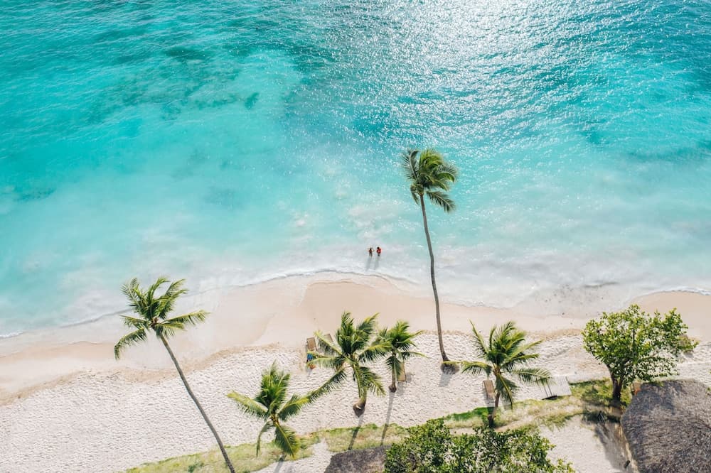 Dreams La Romana Resort & Spa - All Inclusive - Photo 74