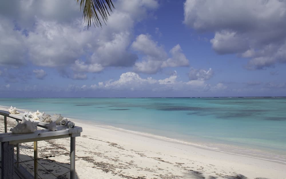 Pelican Beach Hotel - Photo 49