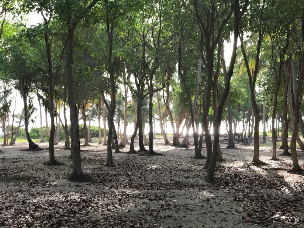 Salt Whistle Bay Retreat - Photo 5