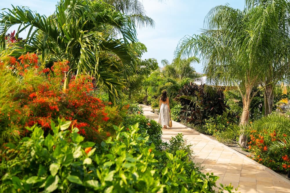 Golden Rock Dive And Nature Resort - Photo 79