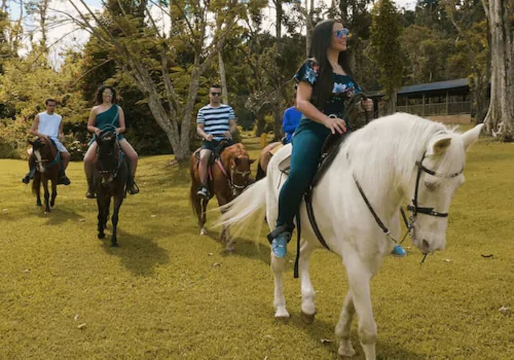 Parador Villas Sotomayor - Photo 12