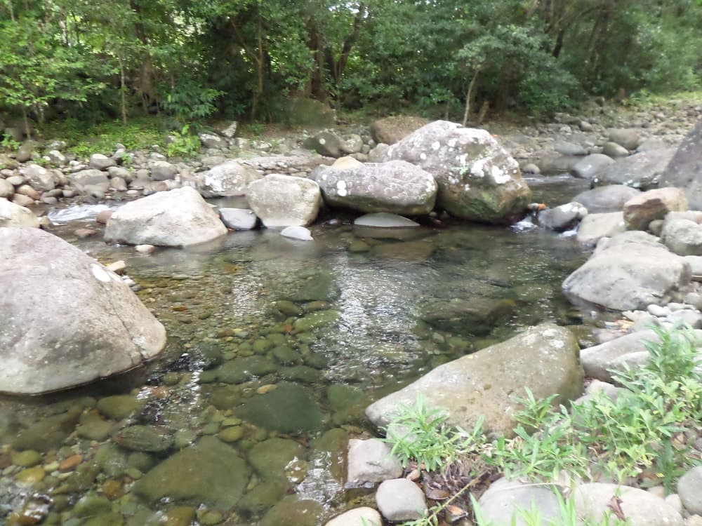 Citrus Creek Plantation - Photo 39