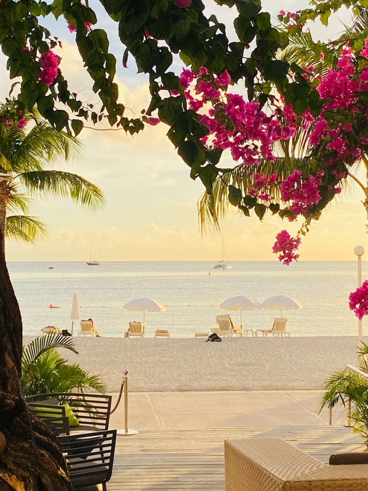 Holland House Beach Hotel - Photo 45