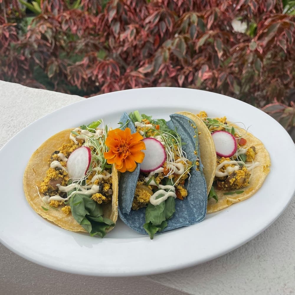 Casa Grande Mountain Retreat - Adults Only - Photo 34