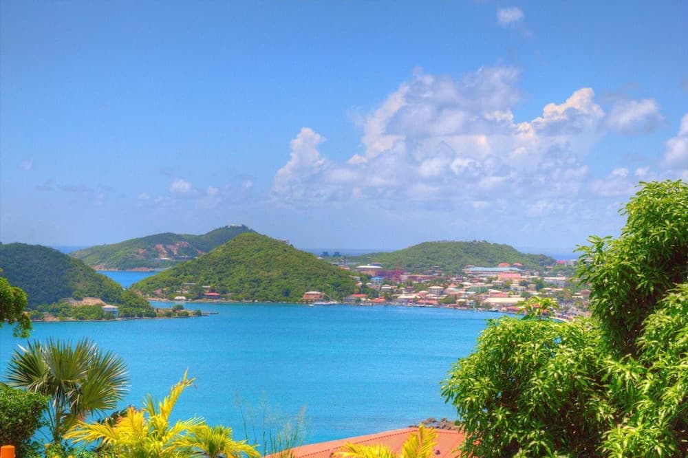 Castle Villas at Bluebeard's - Photo 7