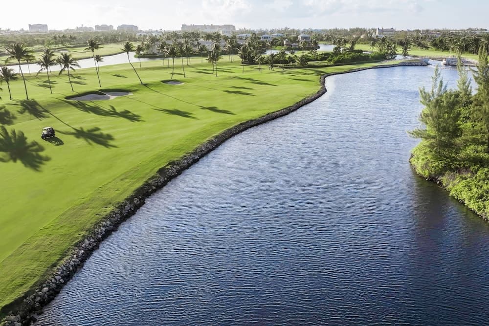 The Ritz-Carlton, Grand Cayman - Photo 53