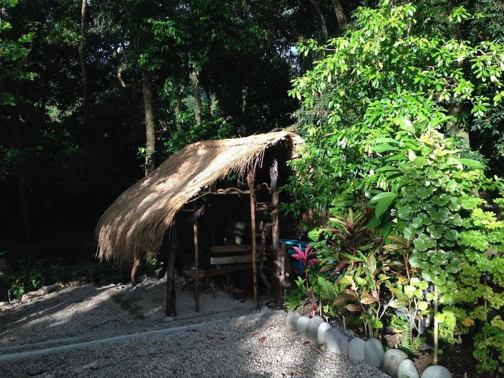 Citrus Creek Plantation - Photo 60