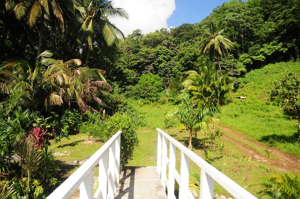 Citrus Creek Plantation - Photo 108