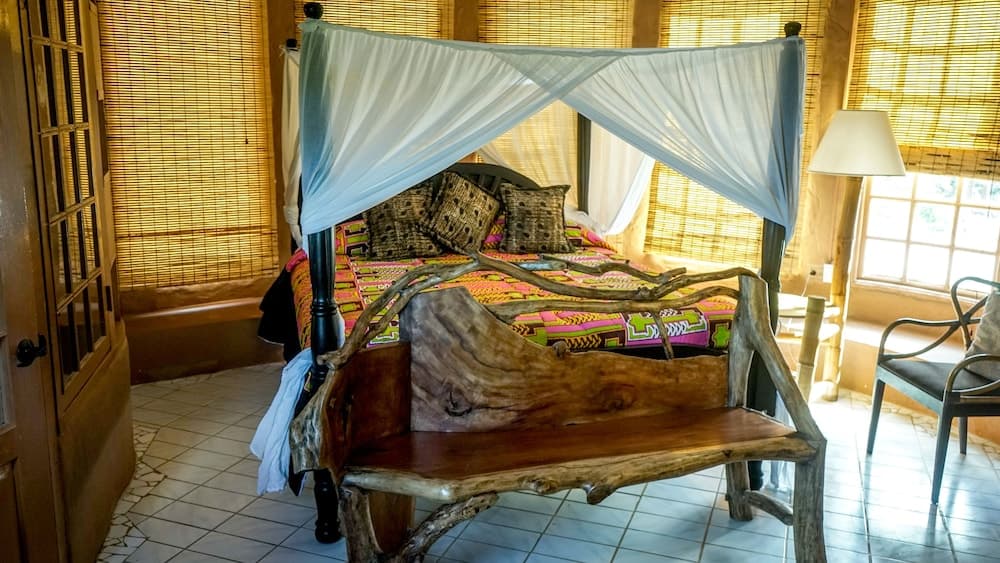 Great Huts - Photo 23