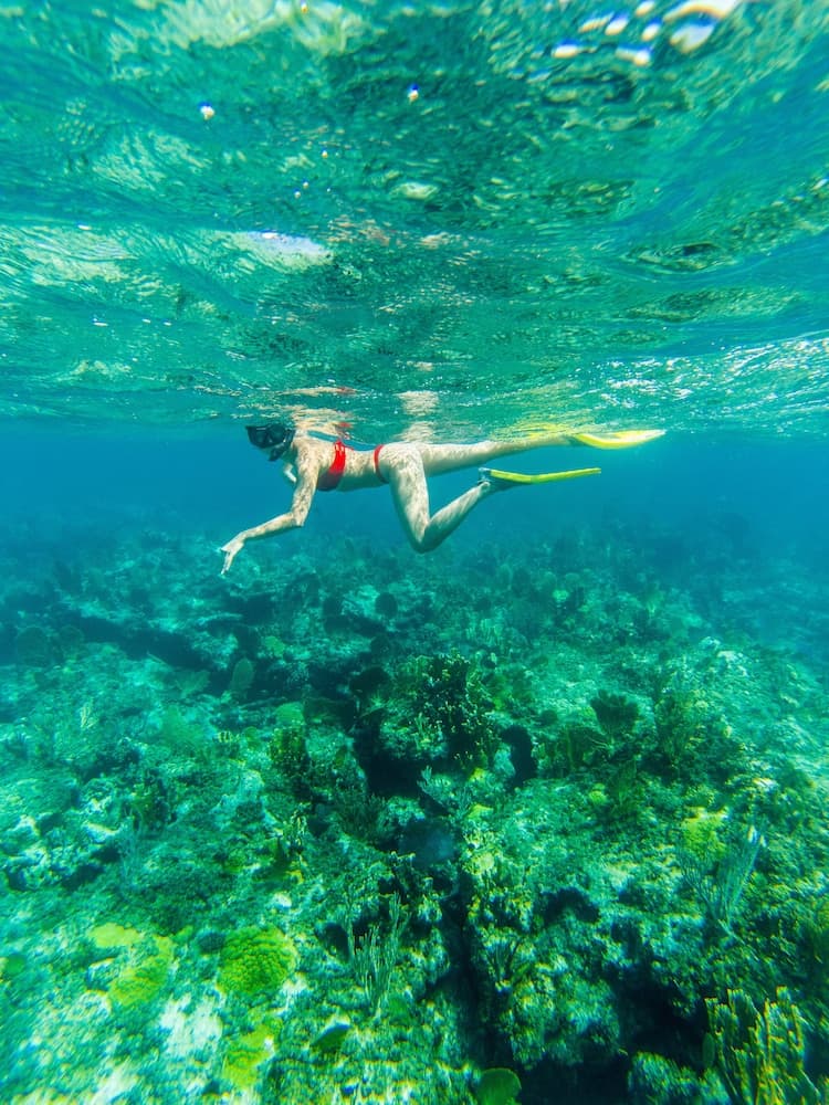 Pine Cay, Turks and Caicos - Photo 74