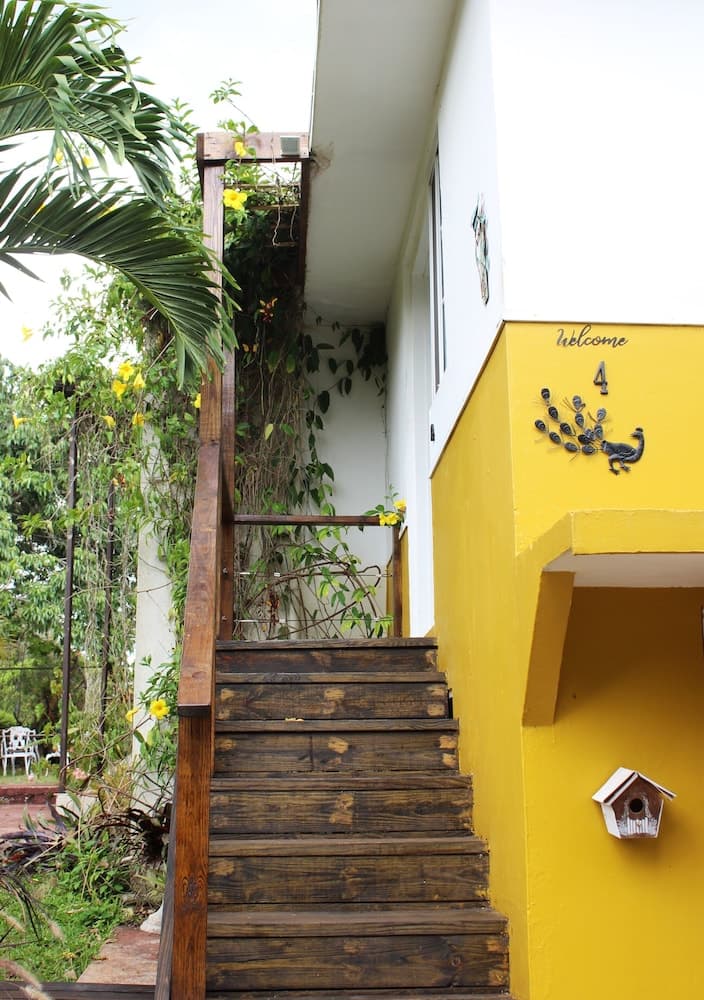 Casa da Buena Vista - Photo 24