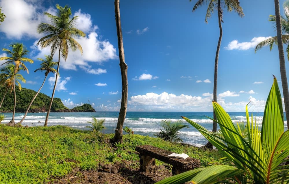 Rosalie Bay Eco Resort & Spa - Photo 15