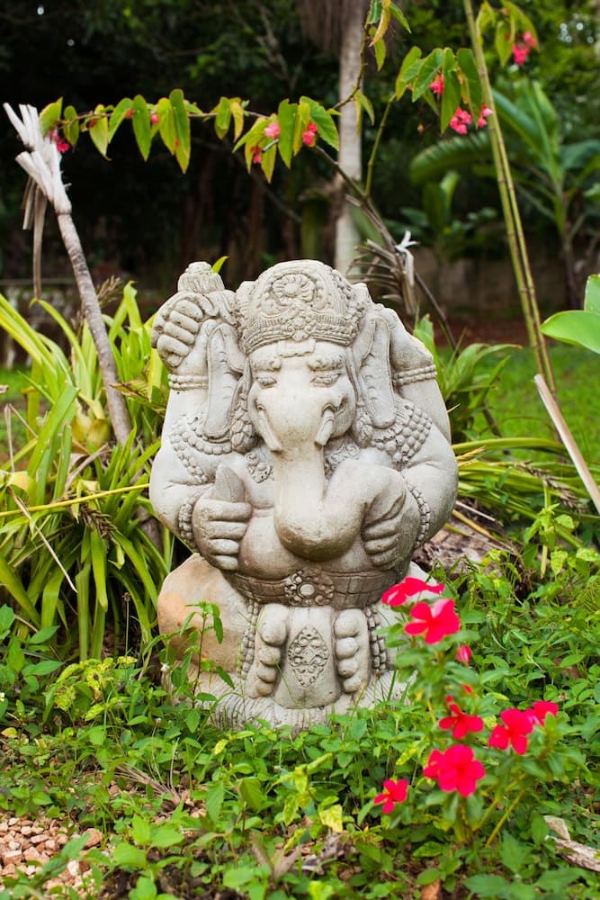 Casa da Buena Vista - Photo 112