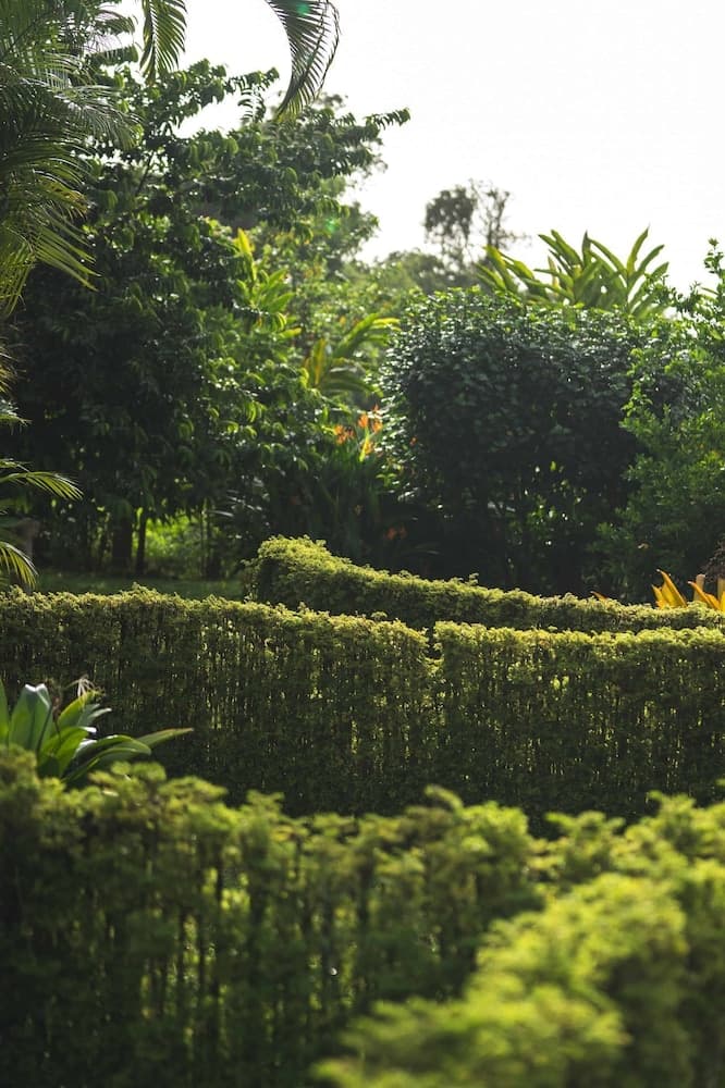 Kootney Resorts - Photo 12