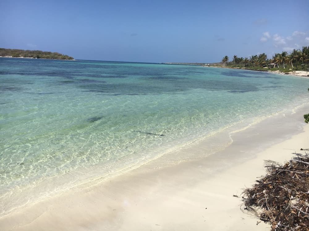 Sea Gate Hotel - Photo 47