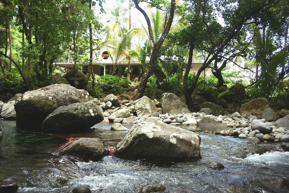 Citrus Creek Plantation - Photo 56