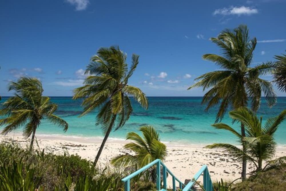 La Bougainvillea Hotel and Villas - Photo 120