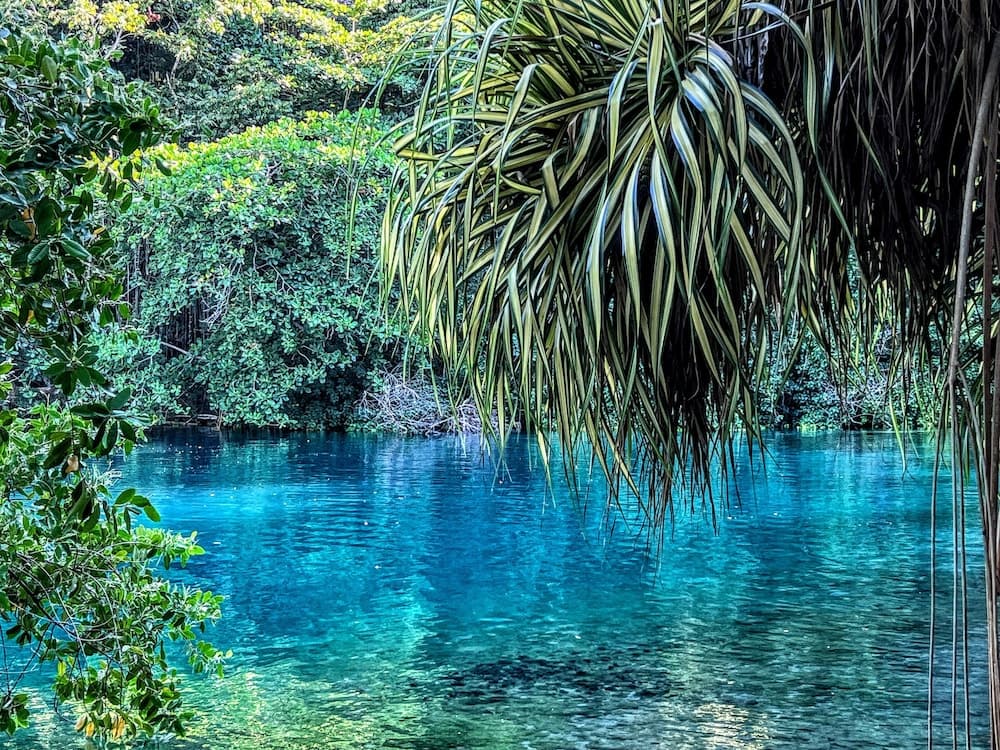Goblin Hill Villas at San San - Photo 197