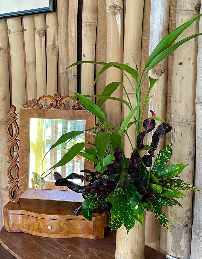 Cocoa Cottages - Photo 23