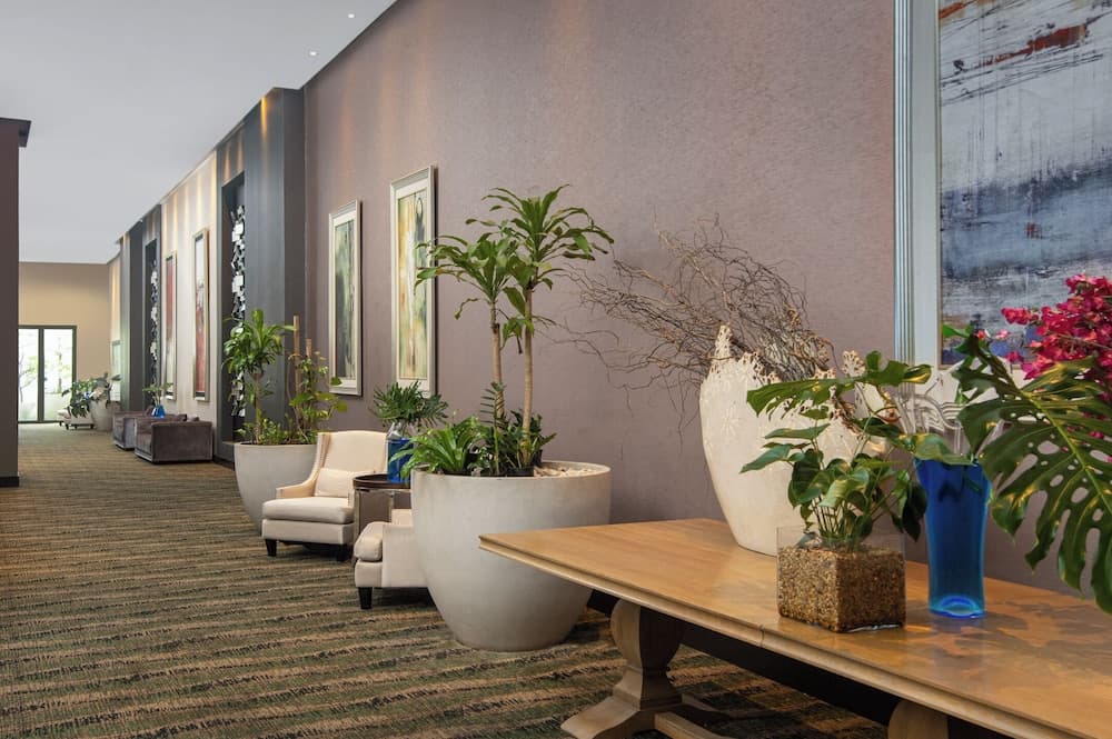 Embassy Suites by Hilton Santo Domingo - Photo 83