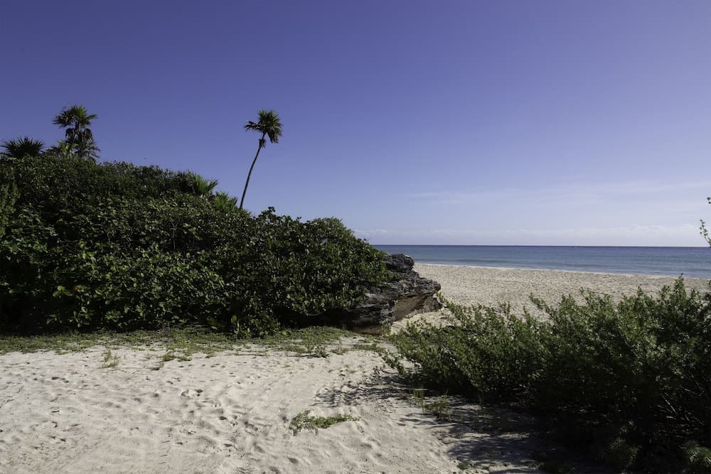 Palmaïa-The House of AïA: All Inclusive Wellness Resort - Photo 74