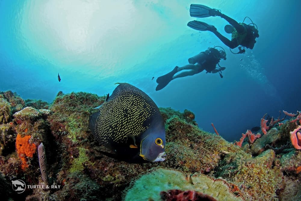 Lagun Blou Resort - Photo 8