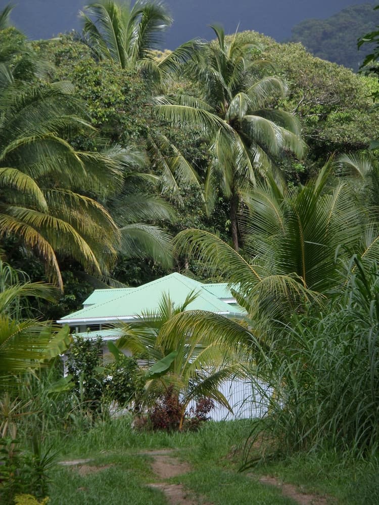 Citrus Creek Plantation - Photo 73