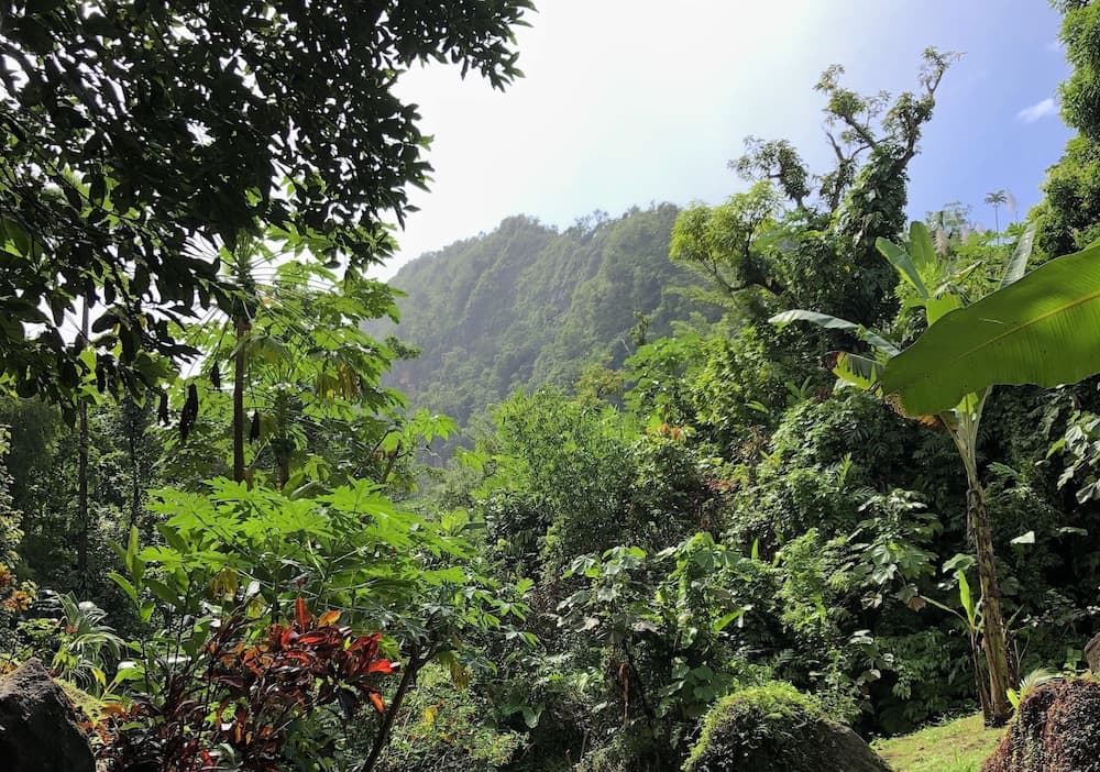 Cocoa Cottages - Photo 43