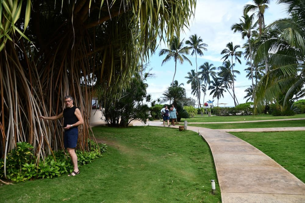 Hotel Alisei - Photo 97