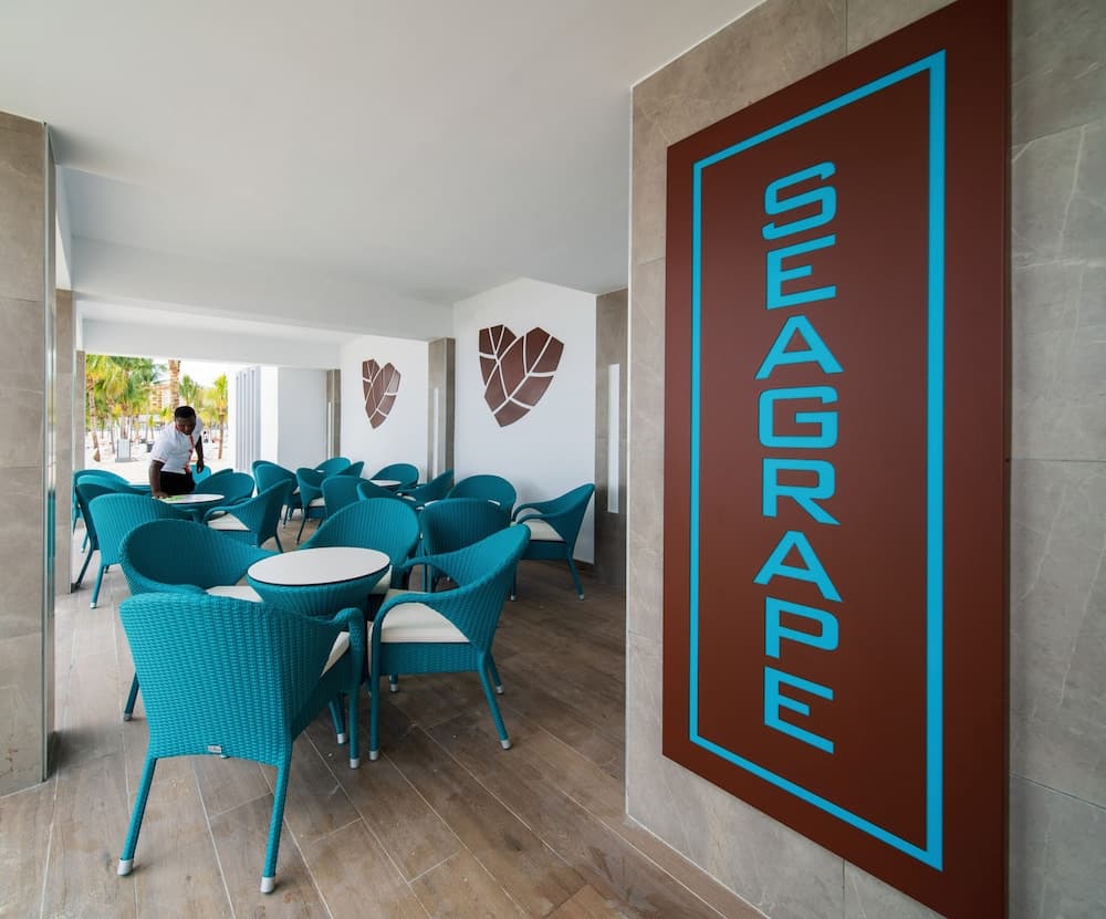 Hotel Riu Ocho Rios - All Inclusive - Photo 80