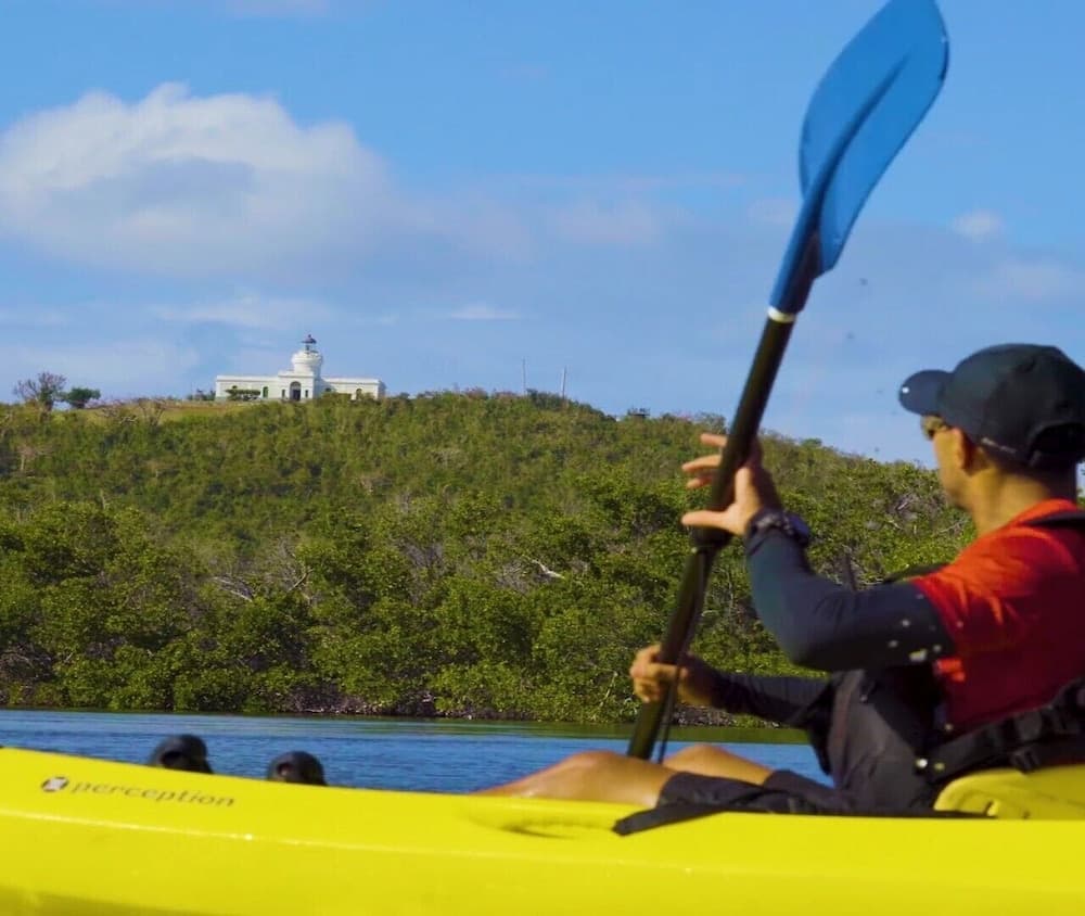 El Conquistador Resort - Photo 66