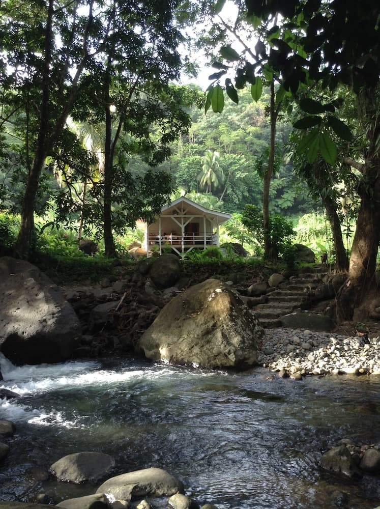 Citrus Creek Plantation - Photo 79