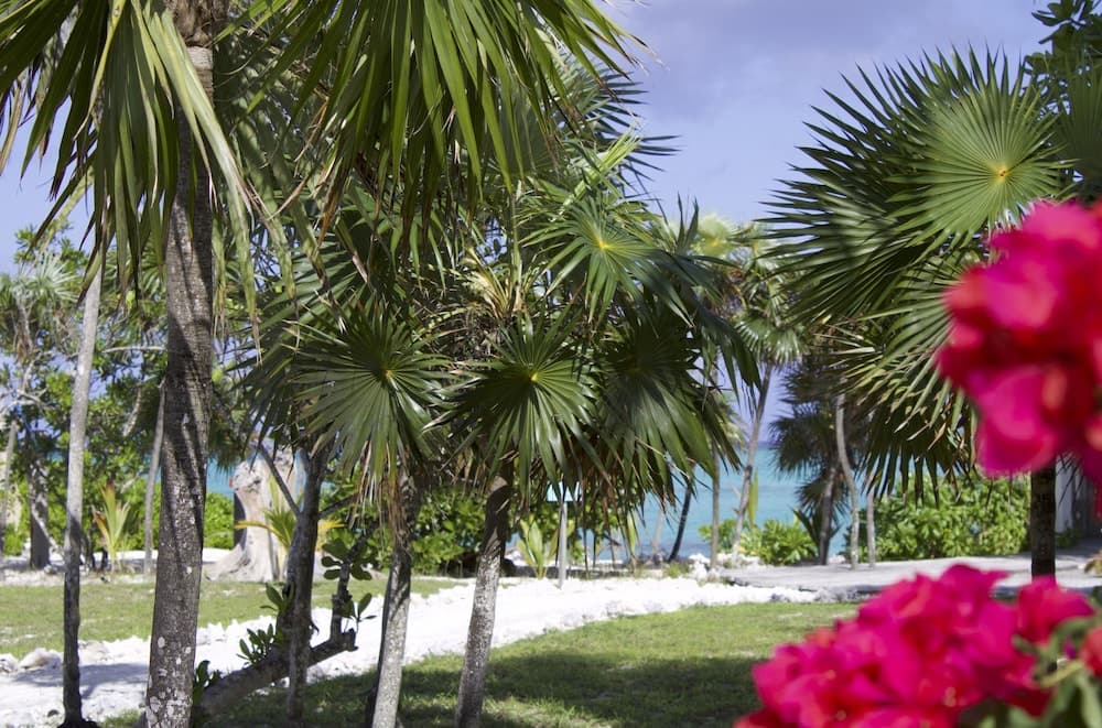 Pelican Beach Hotel - Photo 44