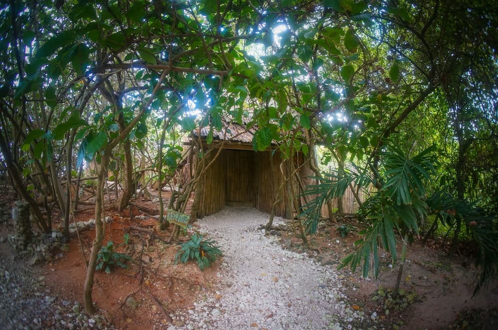 Great Huts - Photo 80