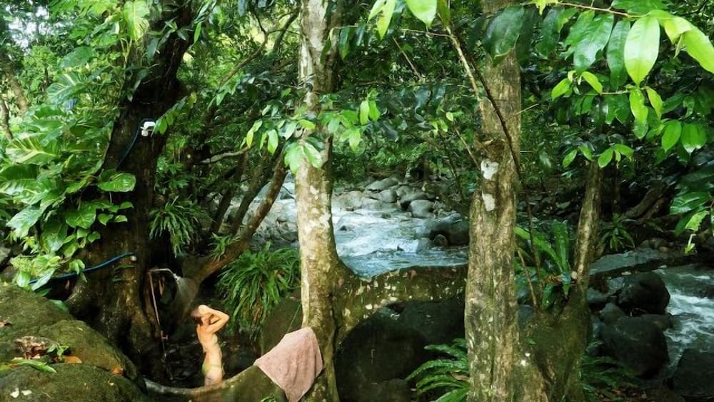 Citrus Creek Plantation - Photo 112