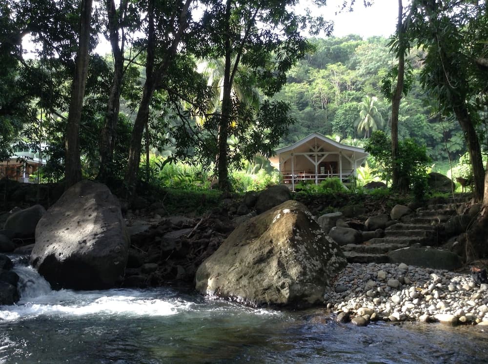 Citrus Creek Plantation - Photo 10