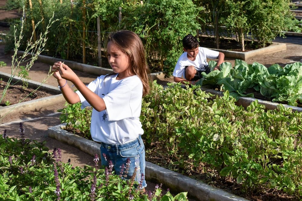 Rosewood Little Dix Bay - Photo 149