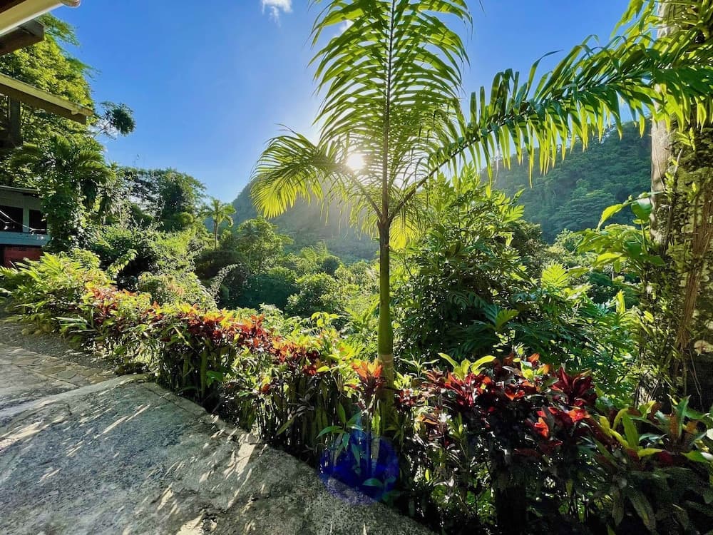 Cocoa Cottages - Photo 36