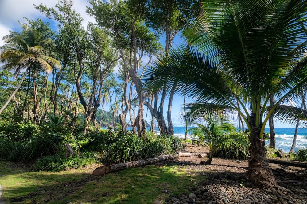 Rosalie Bay Eco Resort & Spa - Photo 3