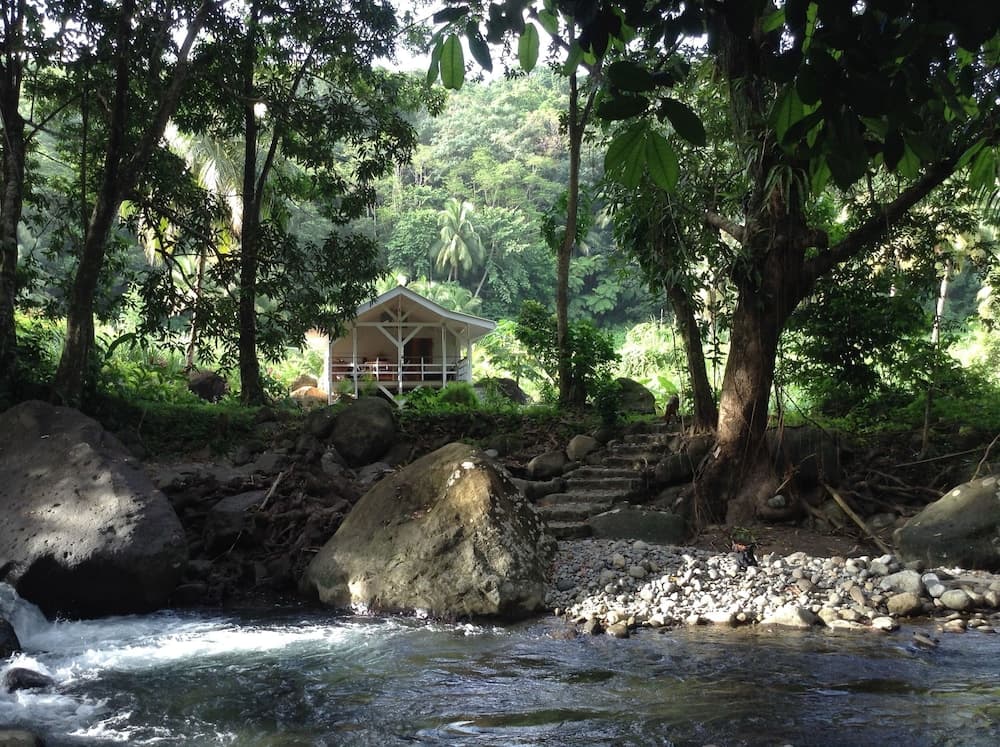 Citrus Creek Plantation - Photo 11