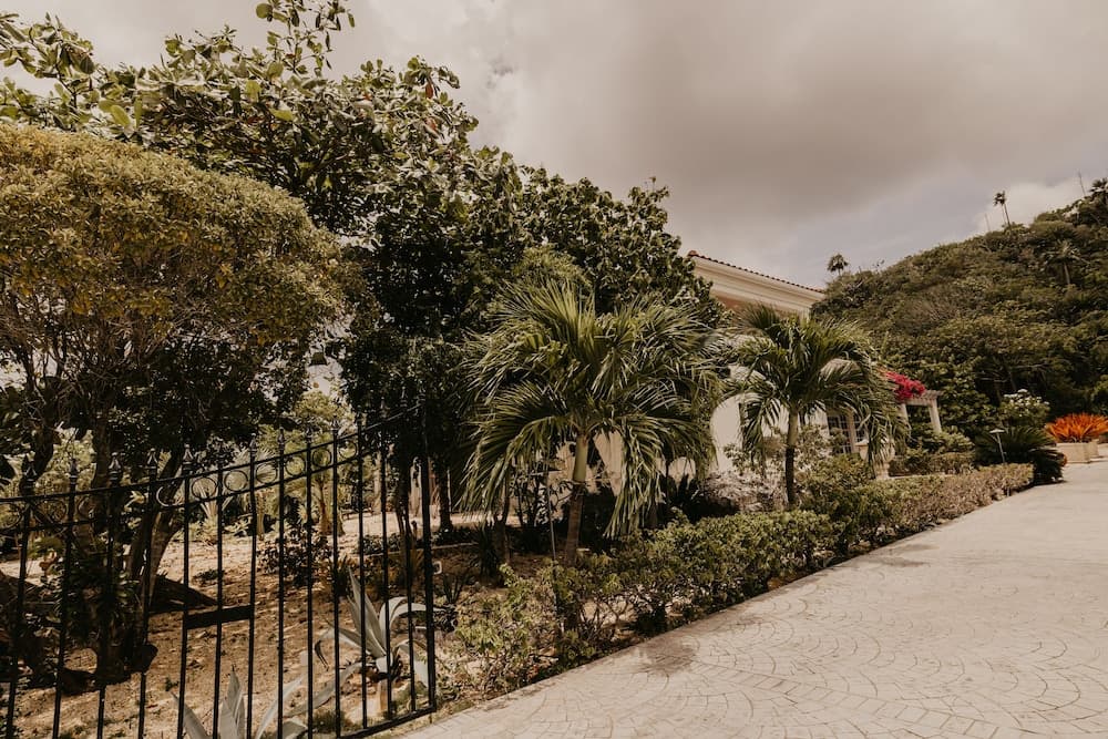 Le Soleil d'Or CaymanBrac - Photo 123