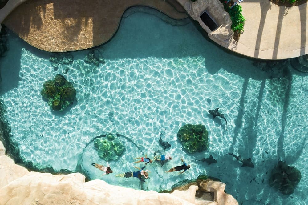 Grand Hyatt Baha Mar - Photo 68