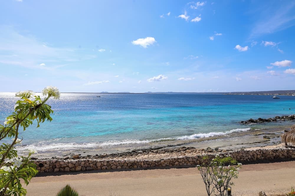 Van der Valk Plaza Beach & Dive Resort Bonaire - All Inclusive - Photo 32