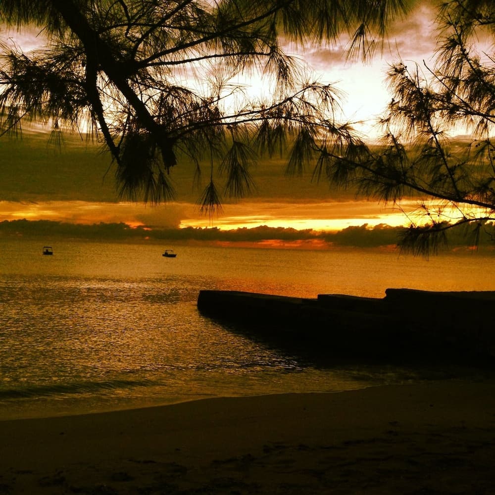 BREIJI HILLS - Photo 25