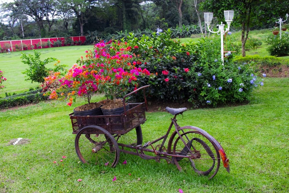 Hotel Rancho Guacamayos - Photo 101