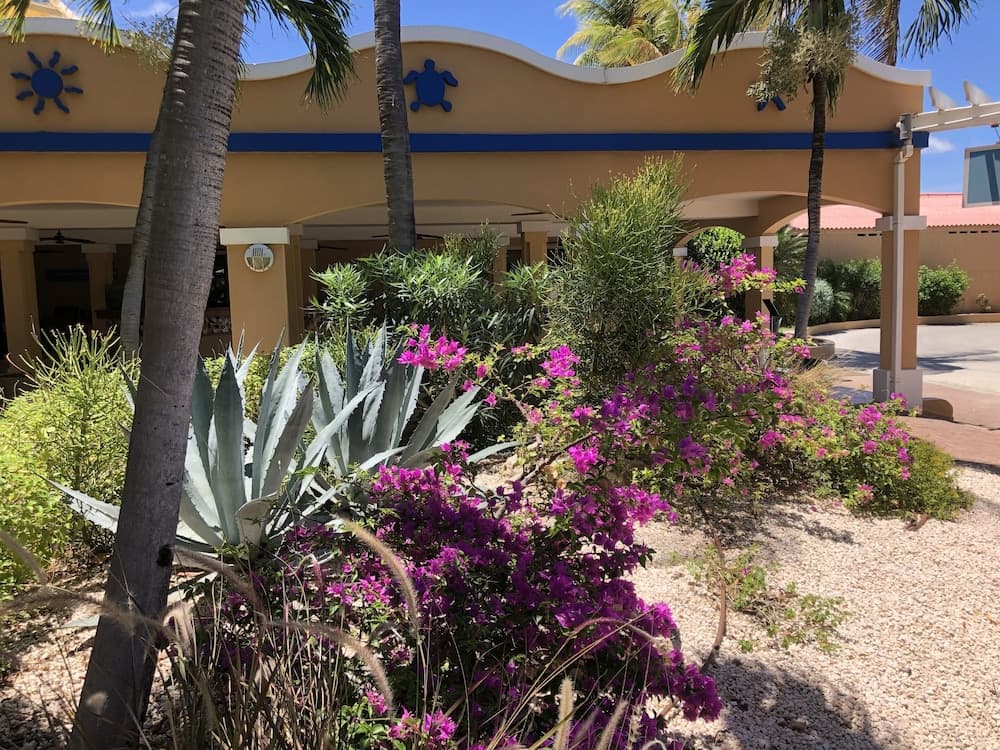 Divi Flamingo Beach Resort & Casino - Photo 61