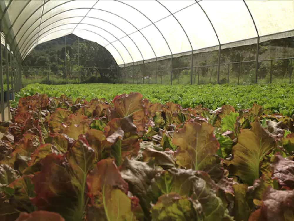 Parador Villas Sotomayor - Photo 22