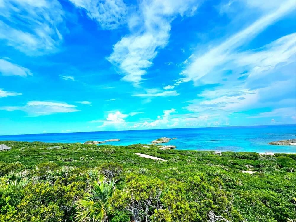 Peace and Plenty Resort - Photo 74