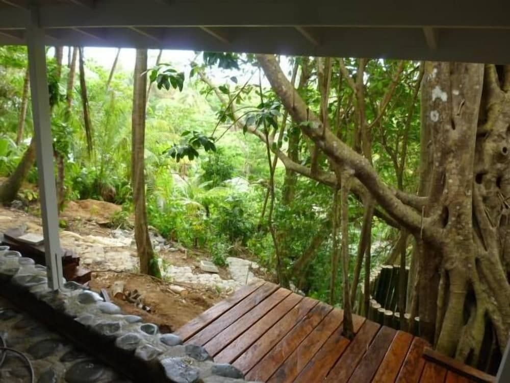 Citrus Creek Plantation - Photo 25