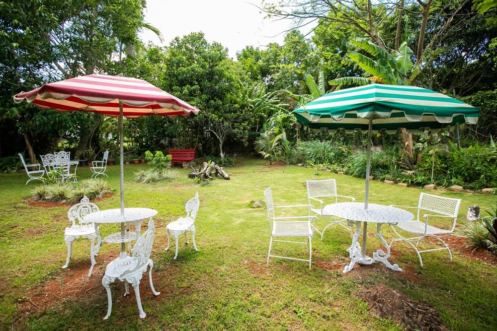 Casa da Buena Vista - Photo 37